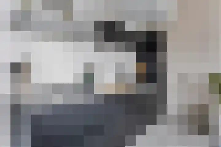 Wouter Sluislaan 10 f Zuidoostbeemster thumbnail 5