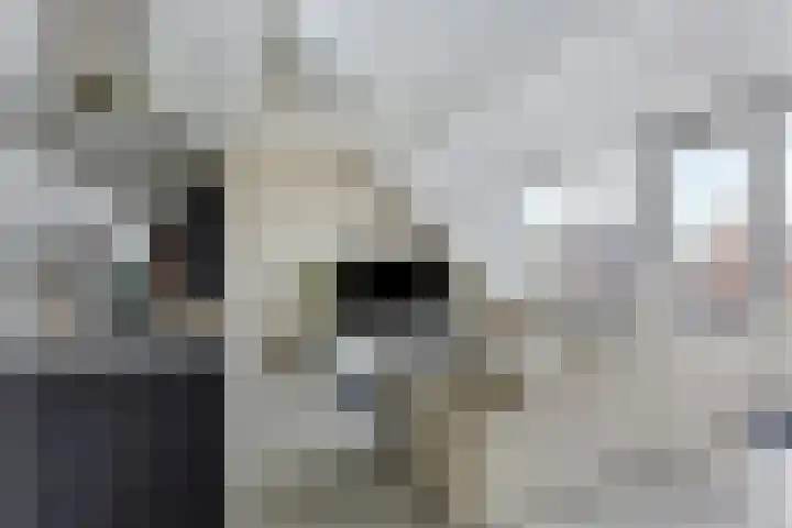 Wouter Sluislaan 10 f Zuidoostbeemster thumbnail 8