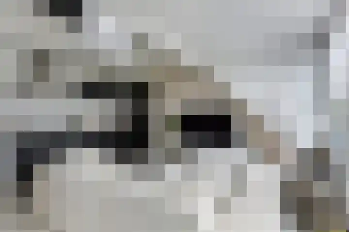 Wouter Sluislaan 10 f Zuidoostbeemster thumbnail 9