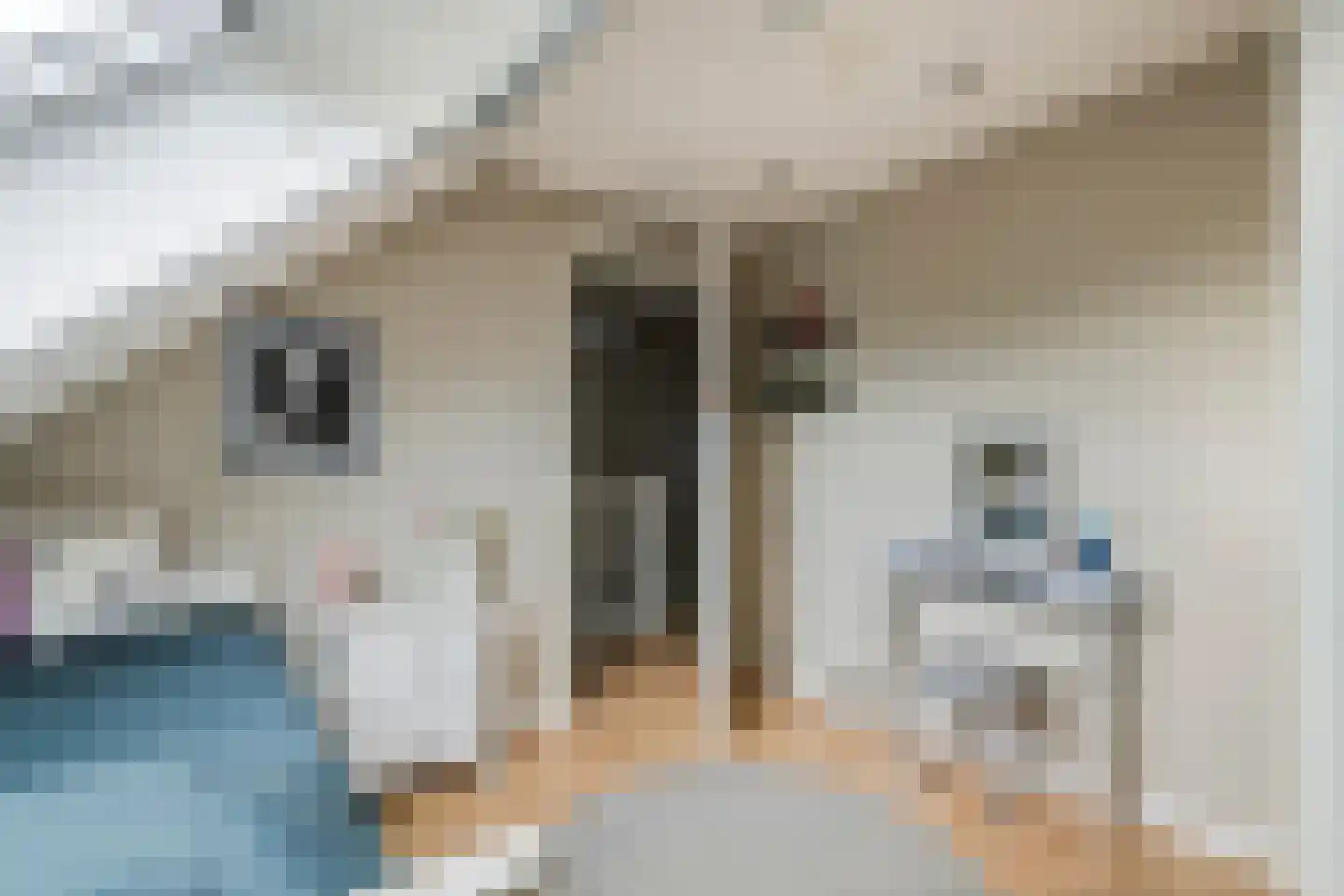 Wouter uten Goyelaan 11 Culemborg thumbnail 37
