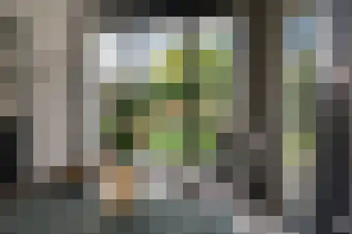 Wouter uten Goyelaan 2 Culemborg thumbnail 10