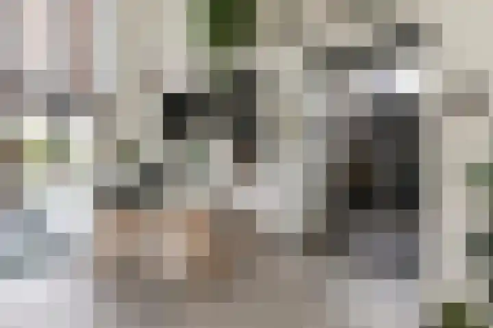 Wouter uten Goyelaan 2 Culemborg thumbnail 12