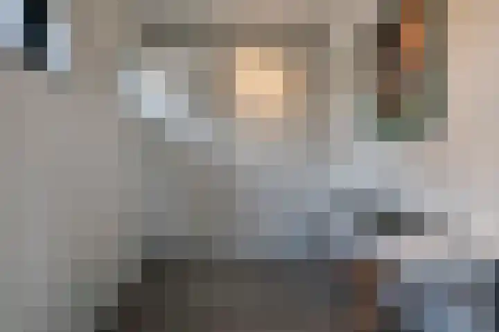 Wouter uten Goyelaan 2 Culemborg thumbnail 13