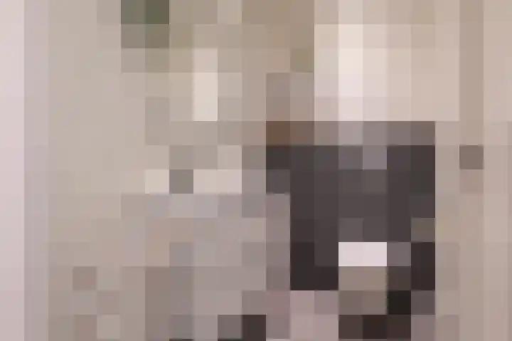 Wouter uten Goyelaan 2 Culemborg thumbnail 26