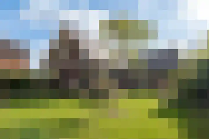 Wouter uten Goyelaan 2 Culemborg thumbnail 27