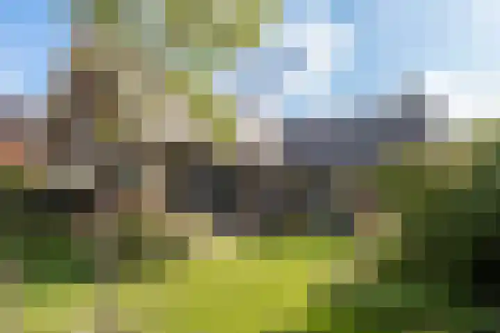 Wouter uten Goyelaan 2 Culemborg thumbnail 28