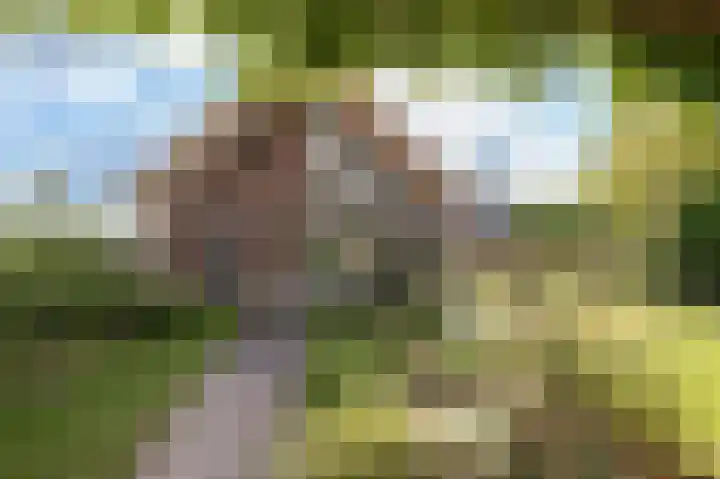 Wouter uten Goyelaan 2 Culemborg thumbnail 29