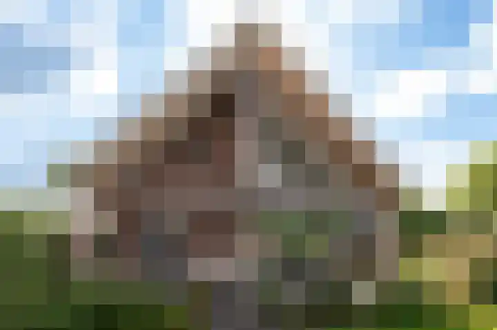 Wouter uten Goyelaan 2 Culemborg thumbnail 30