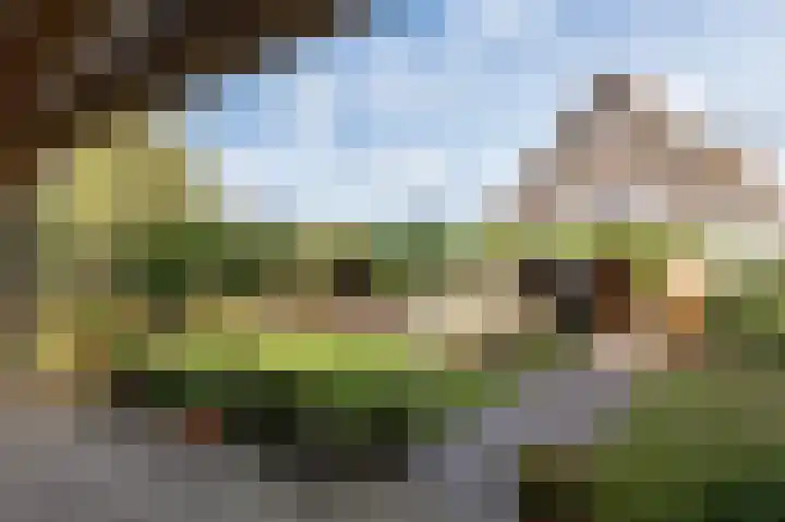 Wouter uten Goyelaan 2 Culemborg thumbnail 32