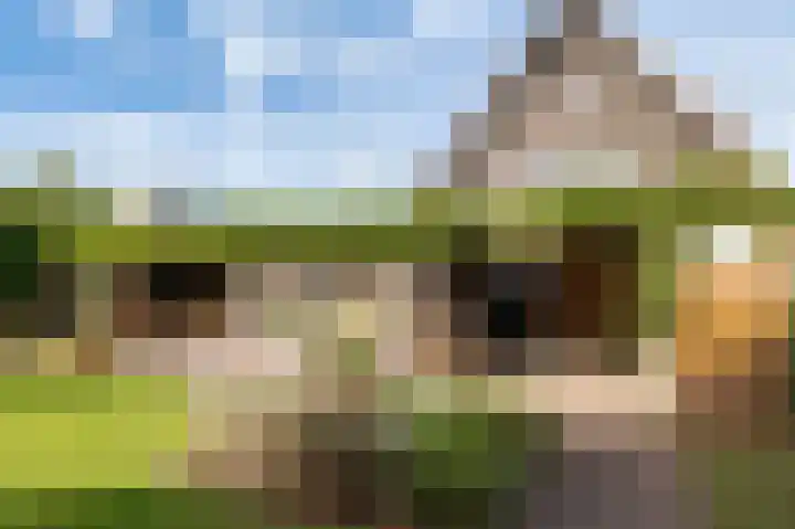 Wouter uten Goyelaan 2 Culemborg thumbnail 33