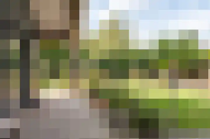 Wouter uten Goyelaan 2 Culemborg thumbnail 34