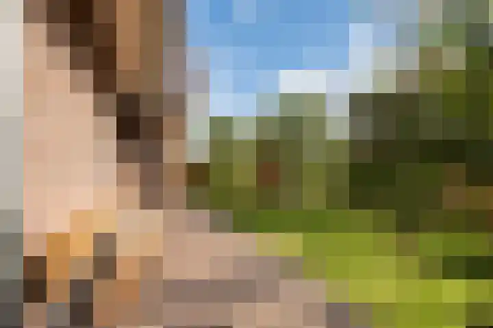 Wouter uten Goyelaan 2 Culemborg thumbnail 35