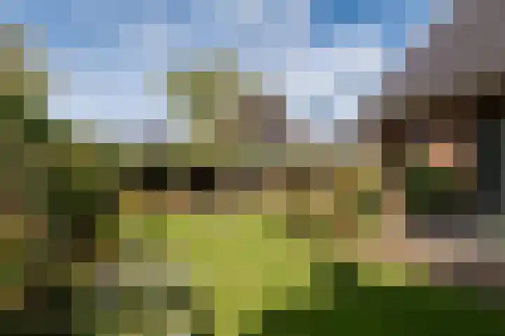 Wouter uten Goyelaan 2 Culemborg thumbnail 37