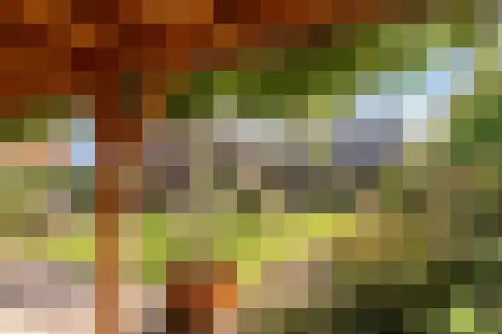 Wouter uten Goyelaan 2 Culemborg thumbnail 38