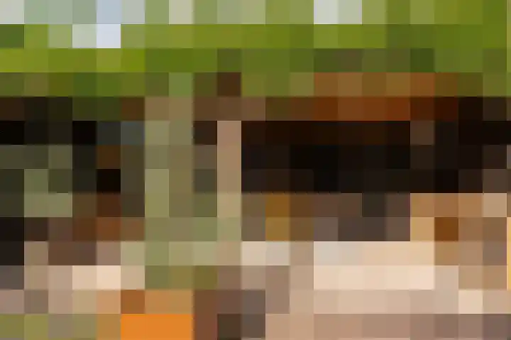 Wouter uten Goyelaan 2 Culemborg thumbnail 39