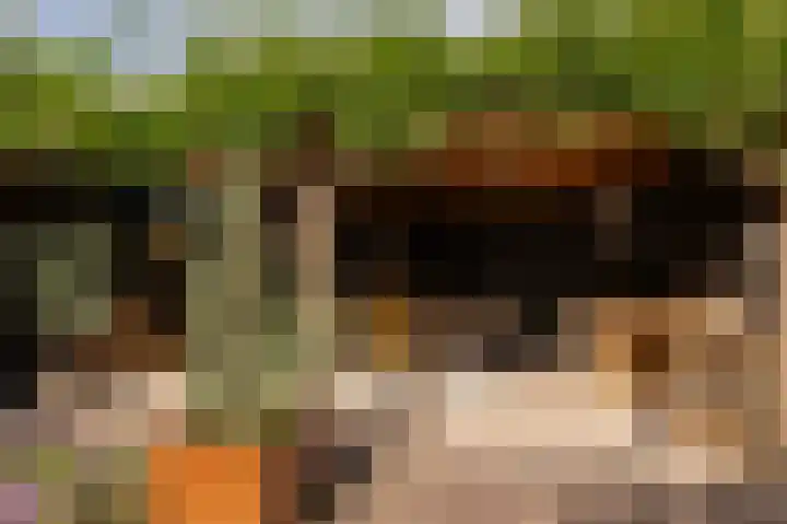 Wouter uten Goyelaan 2 Culemborg thumbnail 40