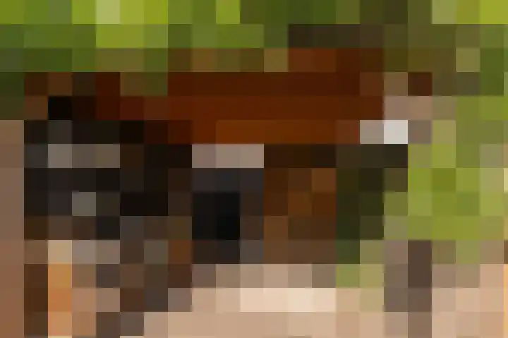 Wouter uten Goyelaan 2 Culemborg thumbnail 42