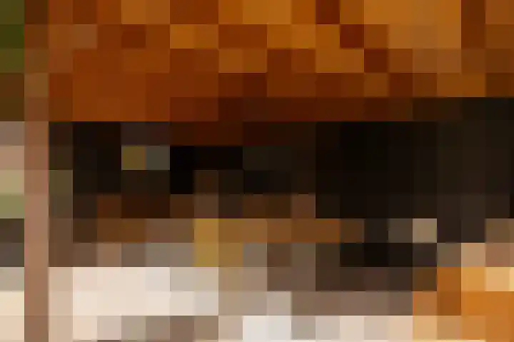 Wouter uten Goyelaan 2 Culemborg thumbnail 43