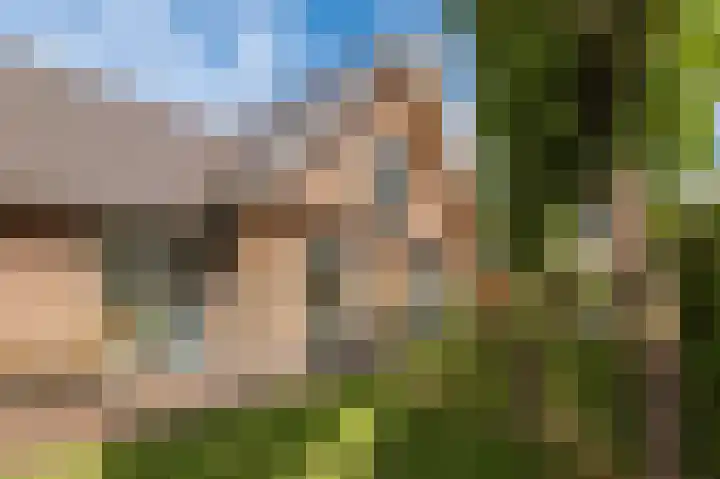 Wouter uten Goyelaan 2 Culemborg thumbnail 47