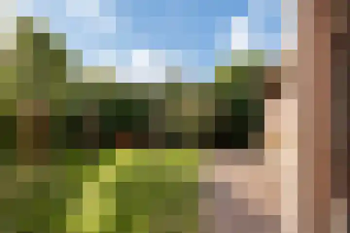 Wouter uten Goyelaan 2 Culemborg thumbnail 48