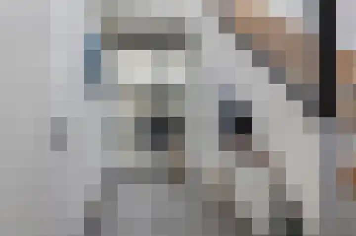 Wouter uten Goyelaan 2 Culemborg thumbnail 5