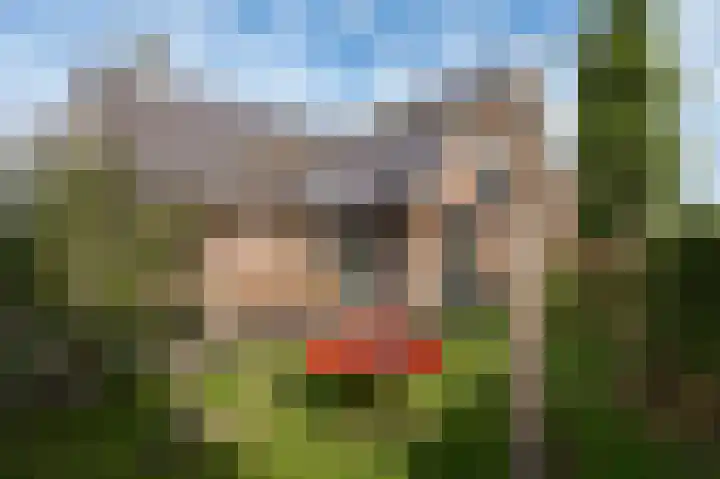 Wouter uten Goyelaan 2 Culemborg thumbnail 50