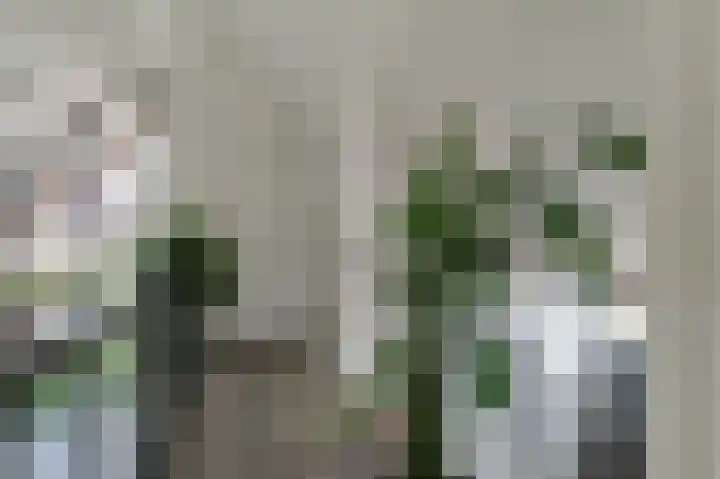 Wouter uten Goyelaan 2 Culemborg thumbnail 55