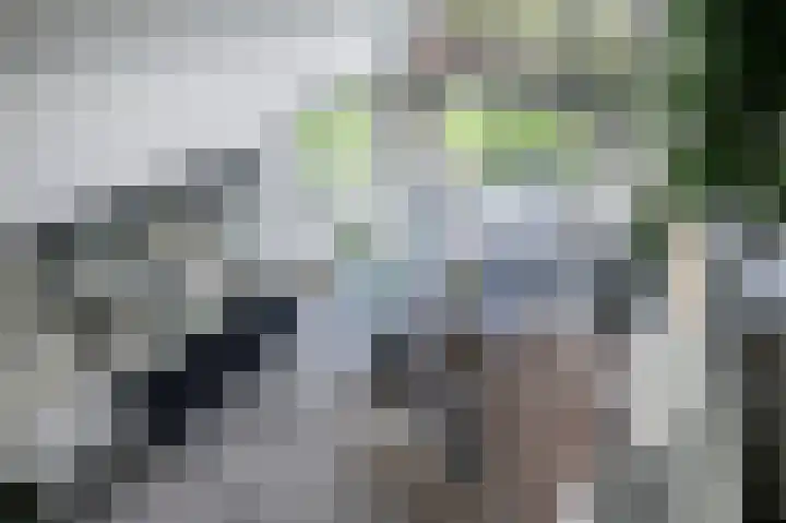 Wouter uten Goyelaan 2 Culemborg thumbnail 56