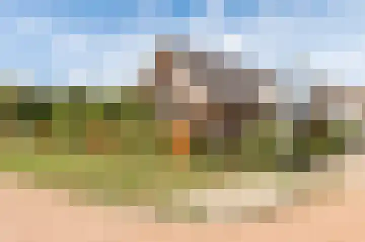 Wouter uten Goyelaan 2 Culemborg thumbnail 64