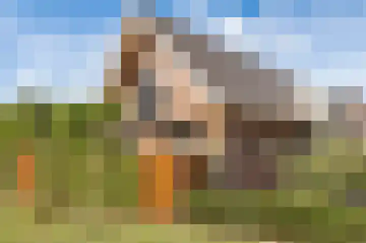 Wouter uten Goyelaan 2 Culemborg thumbnail 65