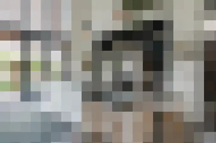 Wouter uten Goyelaan 2 Culemborg thumbnail 7
