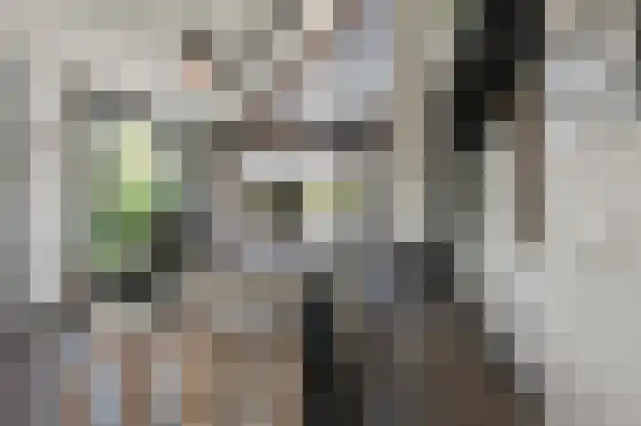 Wouter uten Goyelaan 2 Culemborg thumbnail 8