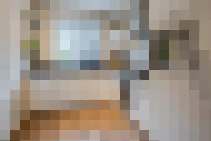 Wouter uten Goyelaan 9 Culemborg thumbnail 13