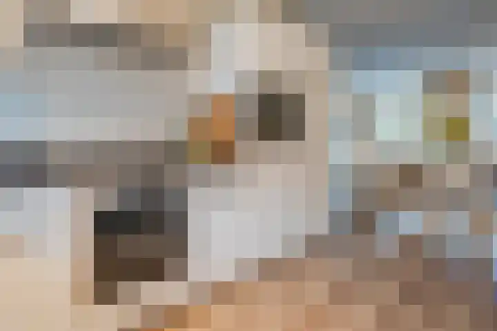 Wouter uten Goyelaan 9 Culemborg thumbnail 15