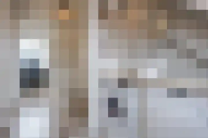 Wouter uten Goyelaan 9 Culemborg thumbnail 32
