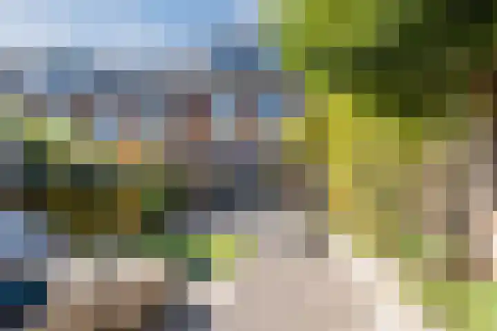 Wouter uten Goyelaan 9 Culemborg thumbnail 4