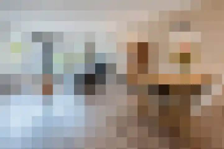 Wouter uten Goyelaan 9 Culemborg thumbnail 7