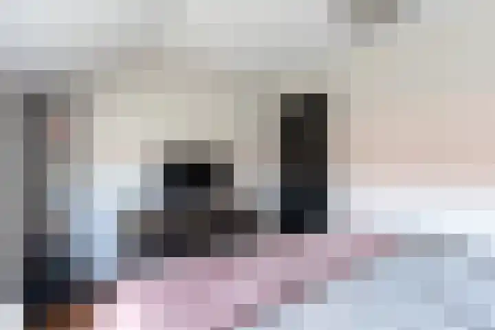 Wouter van Damstraat 27 Harderwijk thumbnail 24