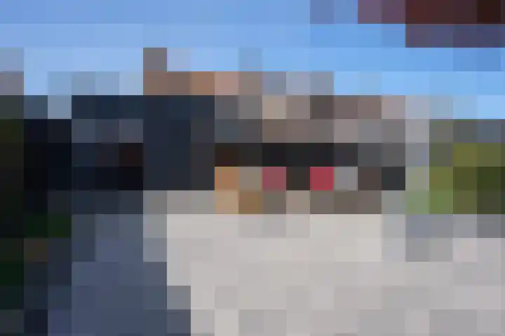 Wouter van Damstraat 27 Harderwijk thumbnail 29
