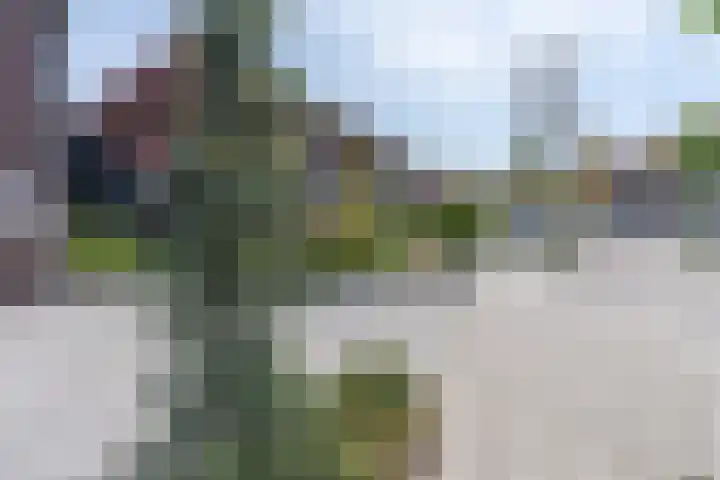 Wouter van Damstraat 27 Harderwijk thumbnail 37