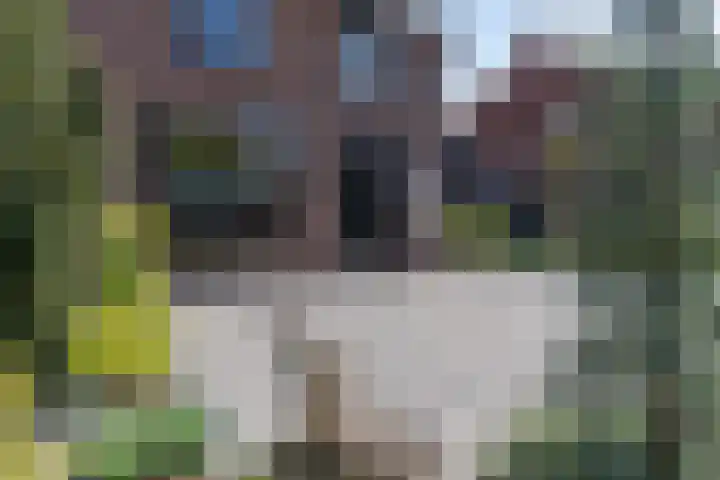 Wouter van Damstraat 27 Harderwijk thumbnail 5