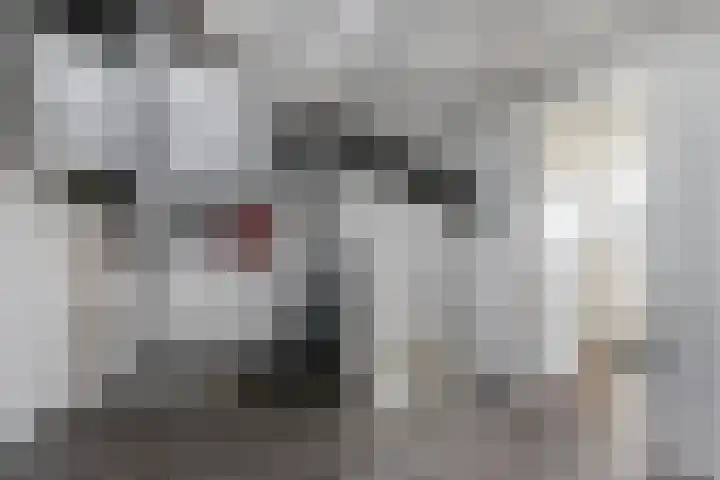 Wouter van de Glindlaan 8 Hoevelaken thumbnail 33