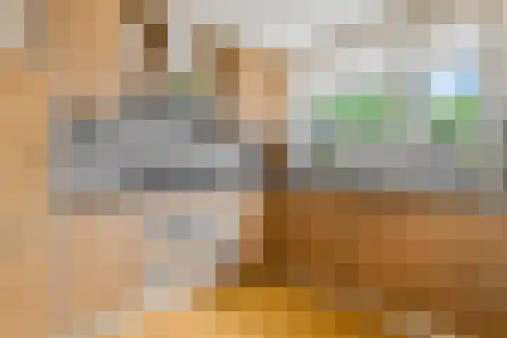Wouter van de Kampstraat 15 Nijkerkerveen thumbnail 10