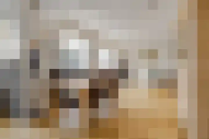 Wouter van de Kampstraat 15 Nijkerkerveen thumbnail 12
