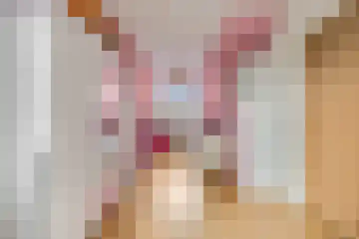 Wouter van de Kampstraat 15 Nijkerkerveen thumbnail 19