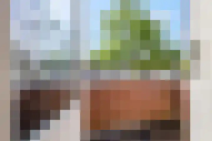 Wouter van de Kampstraat 15 Nijkerkerveen thumbnail 22
