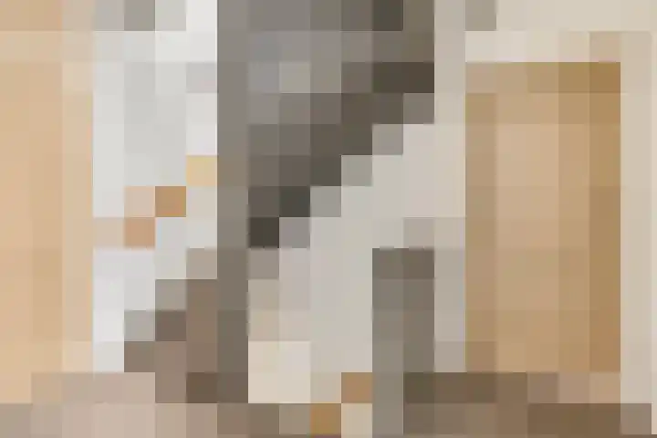 Wouter van de Kampstraat 15 Nijkerkerveen thumbnail 28