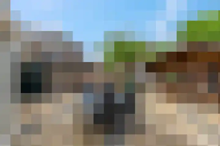 Wouter van de Kampstraat 15 Nijkerkerveen thumbnail 33