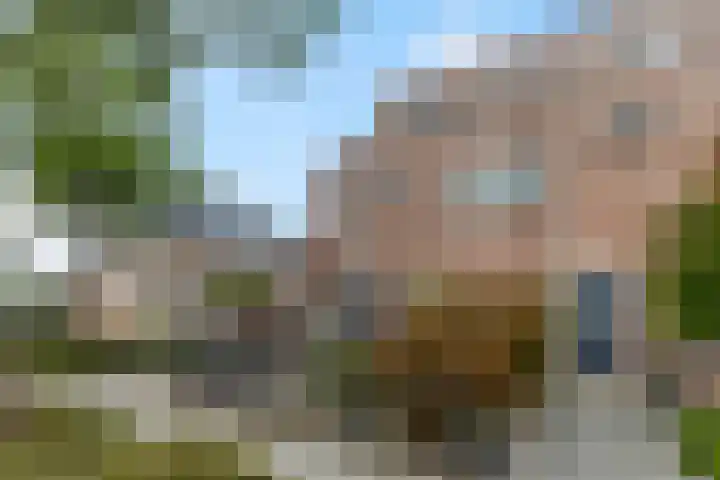 Wouter van de Kampstraat 15 Nijkerkerveen thumbnail 39