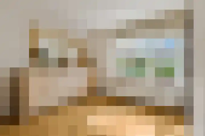 Wouter van de Kampstraat 15 Nijkerkerveen thumbnail 4